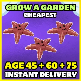AGE 45 60 75 PET