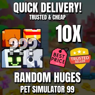 10X RANDOM HUGES