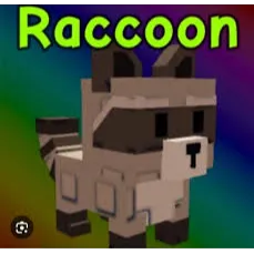 Raccoon gag 2 premium