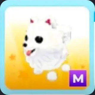 Mega Samoyed