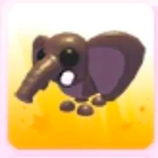 Bush Elephant