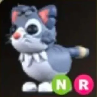 NR Alley Cat