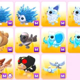 Mega Pet Bundle