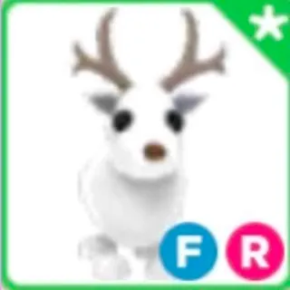 FR Arctic Reindeer