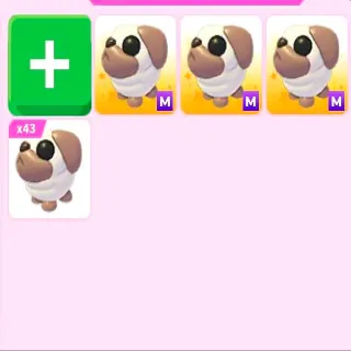 Pug Bundle!