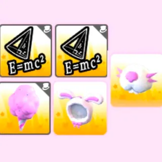 Pet Wear Bundle!