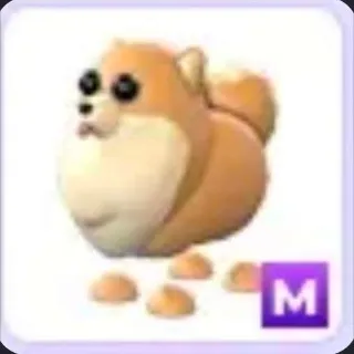 Mega Pomeranian