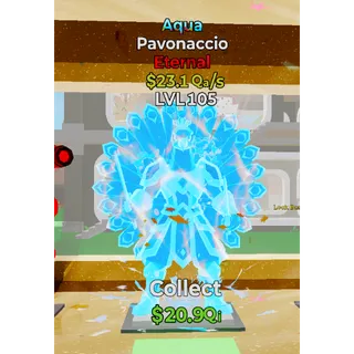 pavonaccio aqua