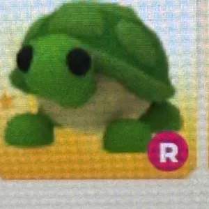 R TURTLE