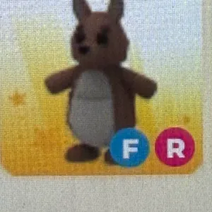 FR  KANGAROO