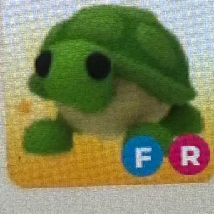 FR TURTLE