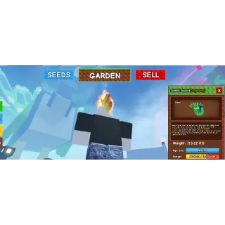 COLOSSAL JUMBO PEACOCK 113KGS+