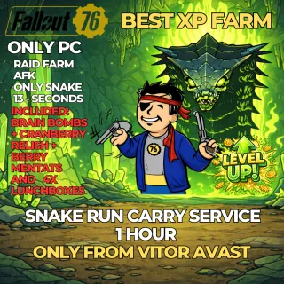FALLOUT 76 – RAID RUN SERVICE 1 hour - snake only - ONLY PC