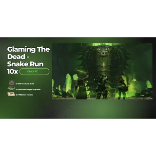 FALLOUT 76 – RAID RUN SERVICE 10X