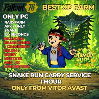 FALLOUT 76 – RAID RUN SERVICE 1 hour - snake only - ONLY PC