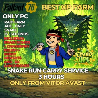 FALLOUT 76 – RAID RUN SERVICE 3 hours - snake only - ONLY PC