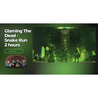 FALLOUT 76 – RAID RUN SERVICE 2 hours - snake only