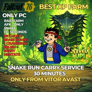 FALLOUT 76 – RAID RUN SERVICE 30 minutes - snake only - ONLY PC