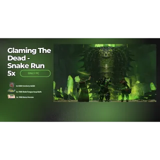 FALLOUT 76 – RAID RUN SERVICE 5x 