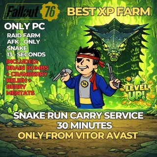 FALLOUT 76 – RAID RUN SERVICE 30 minutes - snake only - ONLY PC