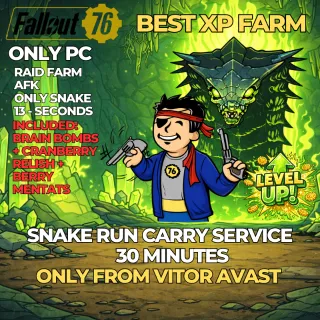 FALLOUT 76 – RAID RUN SERVICE 30 minutes - snake only - ONLY PC