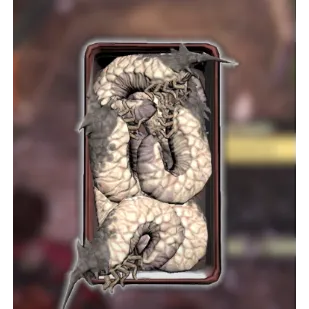 Improved Bait x 1000