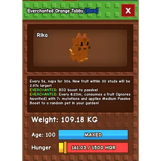 Titanic Orange Tabby 109KG Enchanted 5S