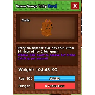 Titanic Orange Tabby 101KG Venom 5S