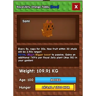 Special 109KG Tabby - 5s