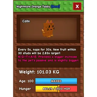 Titanic Orange Tabby 101KG NM 5S