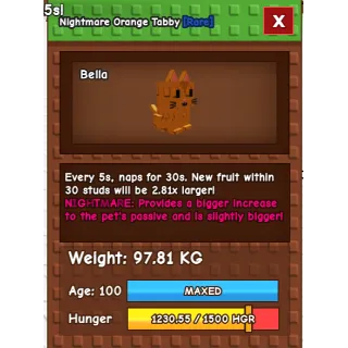 Titanic / Godly Orange Tabby 97KG