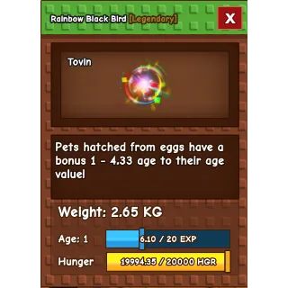 Rainbow Black Bird - low price - GS