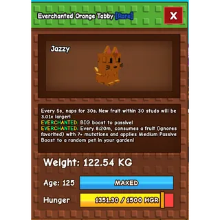 Titanic Orange Tabby 122KG EC 5S