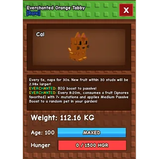 Titanic Colossal Orange Tabby 112KG Everchanted 5S