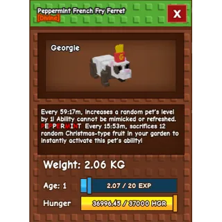 Peppermint French Fry Ferret