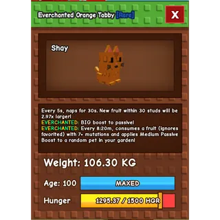 Titanic Orange Tabby 106KG Enchanted 5S