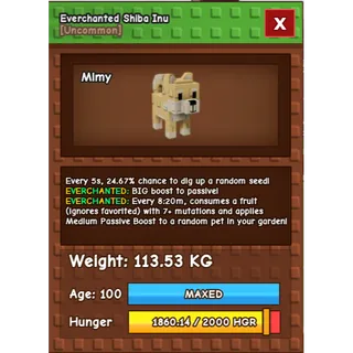 Shiba Inu 113KG - 5Sec - 24