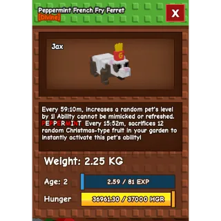 Peppermint French Fry Ferret