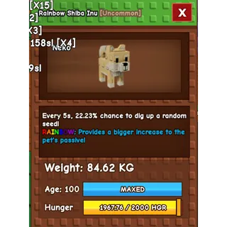 Rainbow Titanic Shiba Inu - 84KG