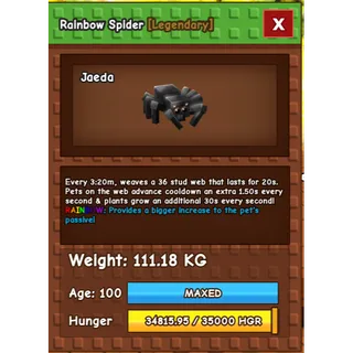 Colossal Rainbow Spider 111KG