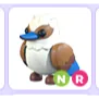 NR Kookaburra