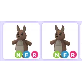 NFR Kangaroo