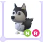 NR Husky