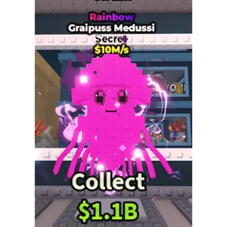 Rainbow Graipuss Medussi