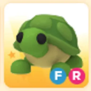 FR Turtle