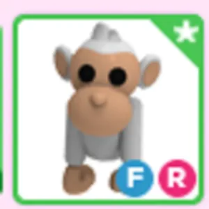 FR Albino Monkey