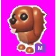 Irish Setter Mega Neon