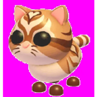 Catte