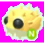 Puffer Fish