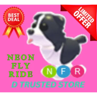 BORDER COLLIE NEON